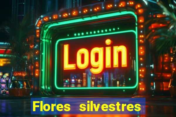 Flores silvestres brasileiras 25